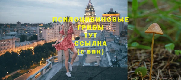 ПСИЛОЦИБИНОВЫЕ ГРИБЫ Алексеевка