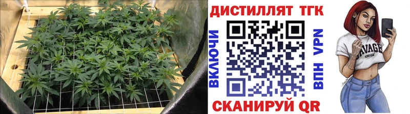 купить   Жердевка  мега зеркало  Дистиллят ТГК Wax 